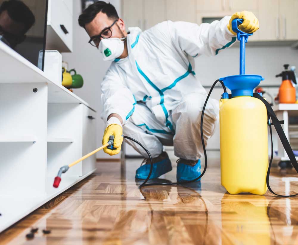 A Kish Pest control professional spraying for pests inside a home that has Kish Pest control services.