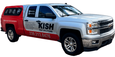 The pest control truck for Kish Pest Solutions. A silver Chevy Silverado with a partial red wrap that has the business information and some decorative decals.