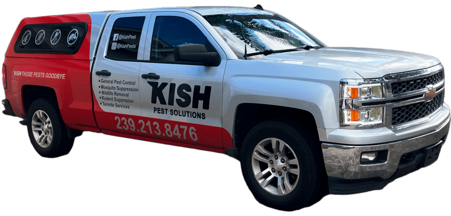The pest control truck for Kish Pest Solutions. A silver Chevy Silverado with a partial red wrap that has the business information and some decorative decals.